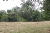 Bois de la Côte